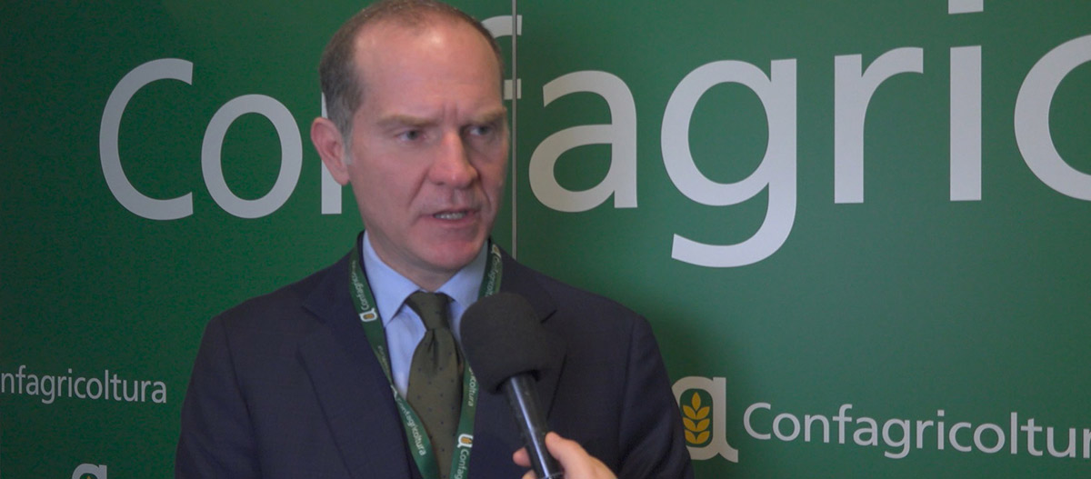Il presidente di Confagricoltura Massimiliano Giansanti, intervistato a margine dell'assemblea della Confederazione a Bruxelles